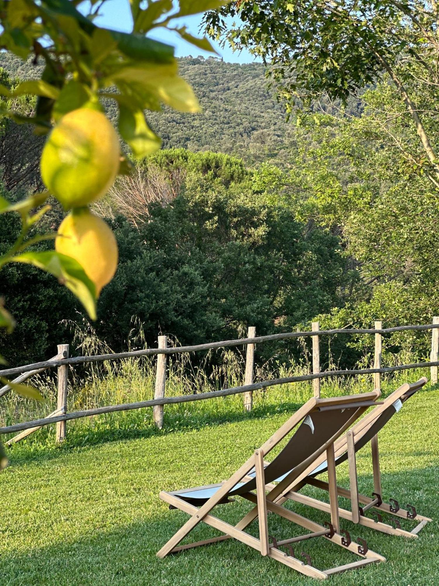 Gio Toscana Castiglione della Pescaia Zewnętrze zdjęcie